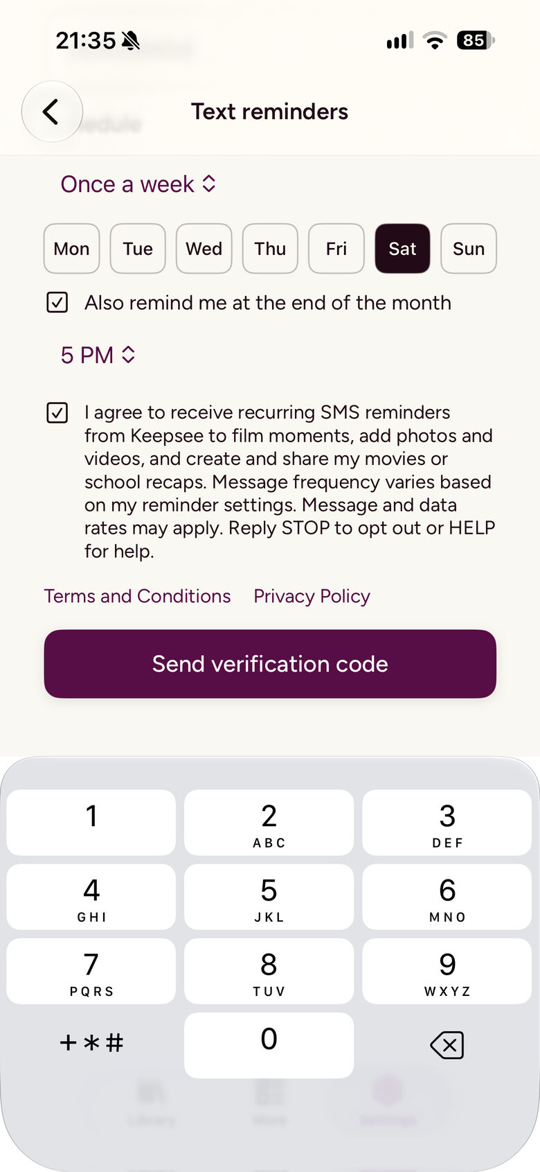 iPhone form with the SMS consent checkbox checked and Send verification code enabled